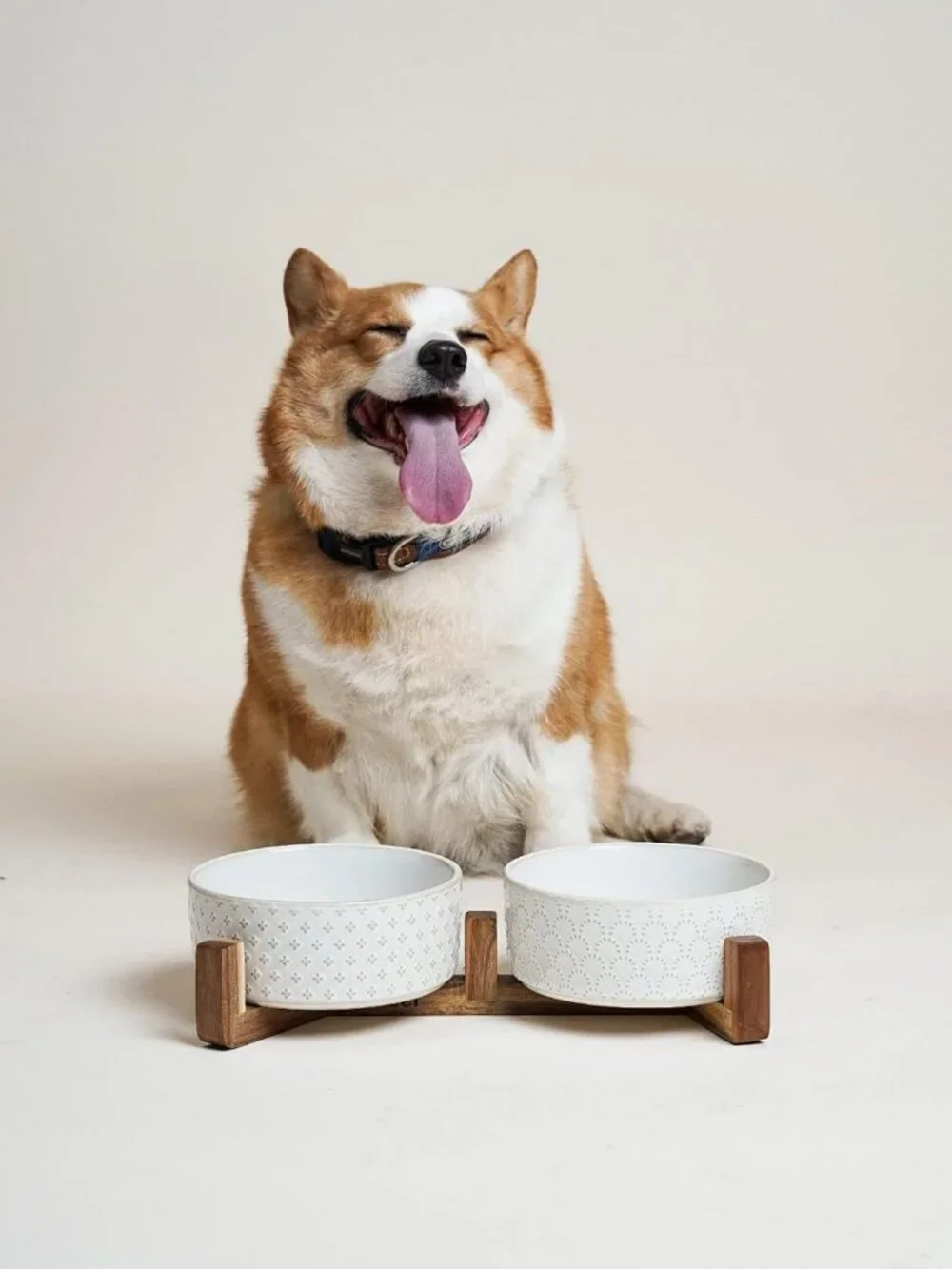 Stylish Dog Bowl Set with Acacia Wood Stand - 1.8-Cup Ceramic Bowls for Small